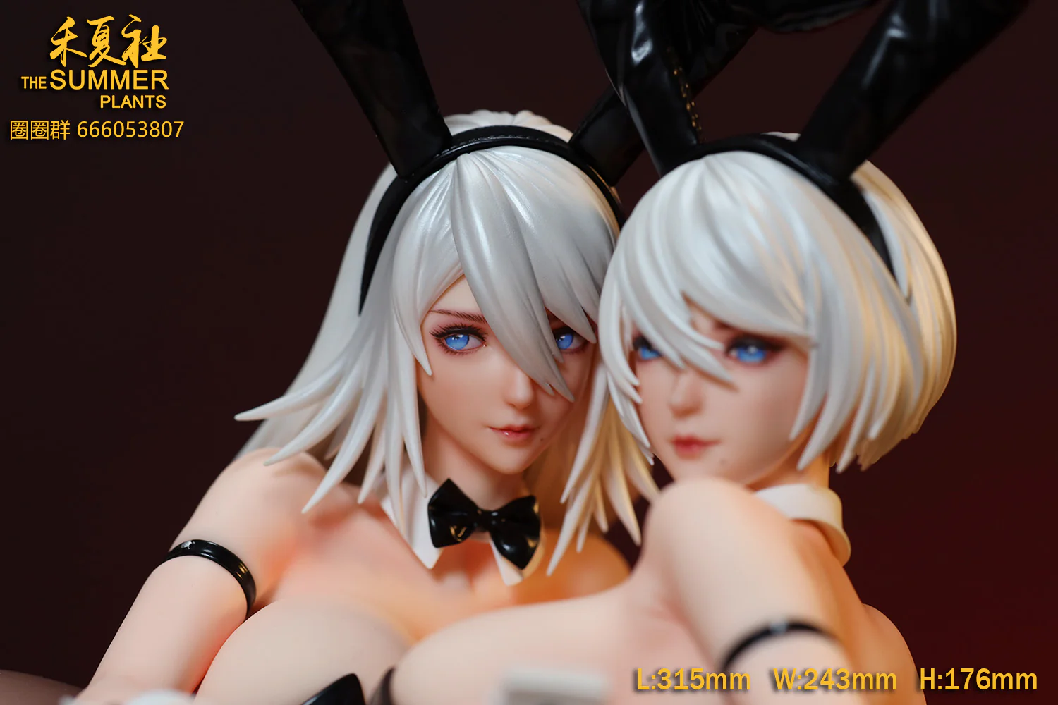 Thumbnail 12
